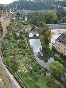 Alzette River