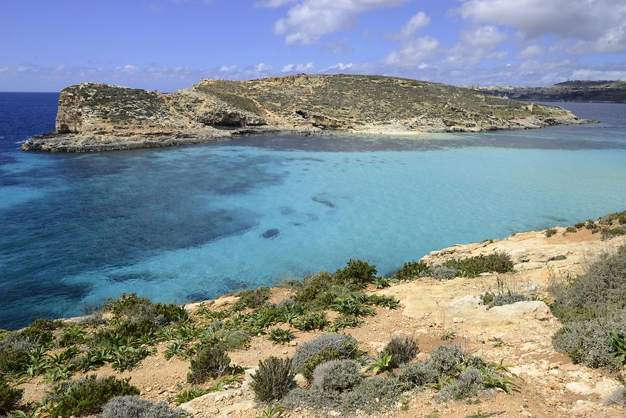 Comino - Blue Lagoon