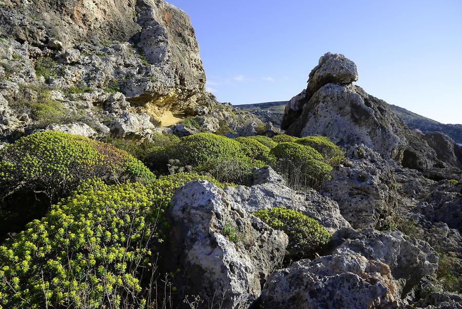 Ġnejna Bay