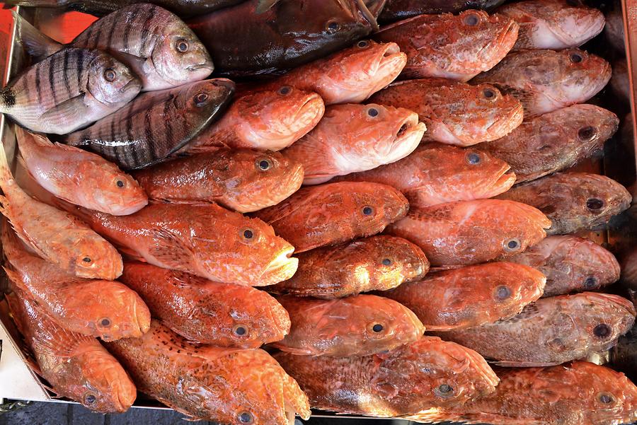 Marsaxlokk - Fish Market