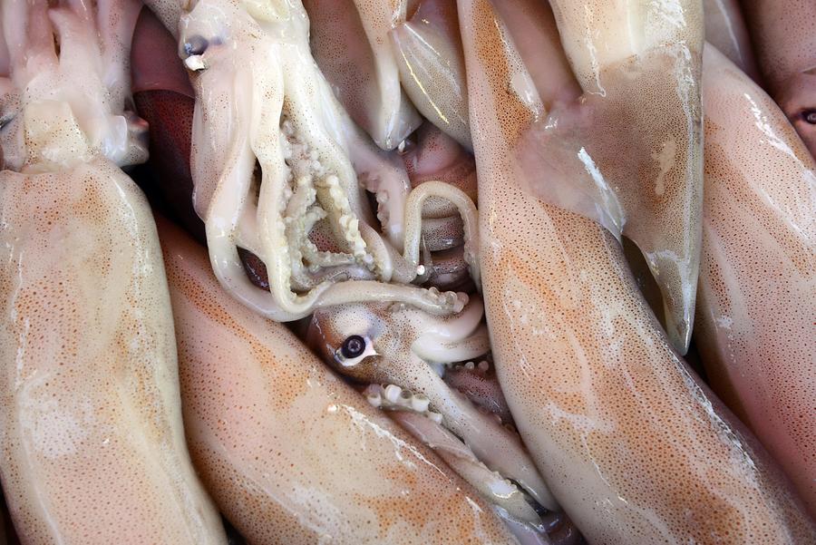 Marsaxlokk - Fish Market; Calamari