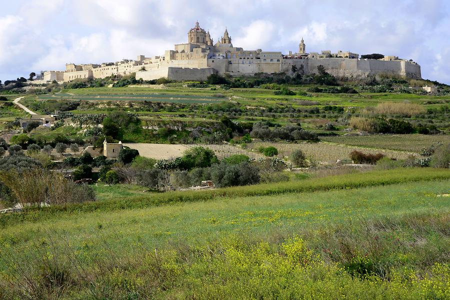 Mdina