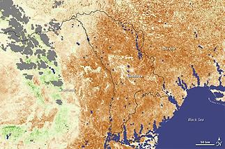 Impact of a 2007 drought (1)