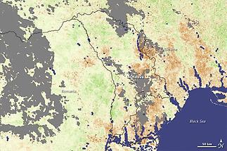 Impact of a 2007 drought (2)