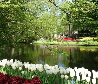 Keukenhof