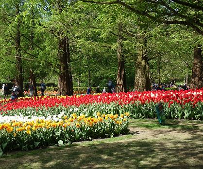 Keukenhof