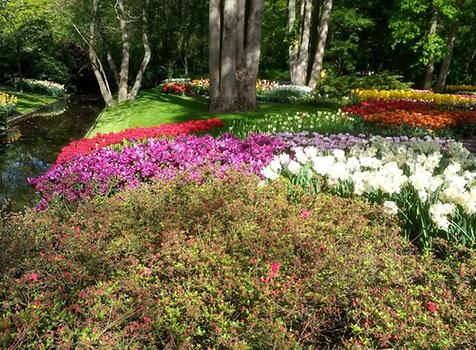 Keukenhof