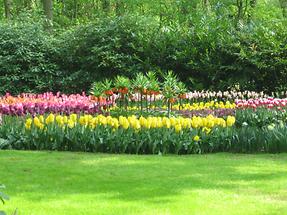 Keukenhof (2)