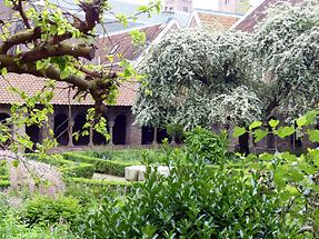 Utrecht - Mariakerk; Romanesque Cloister (1)