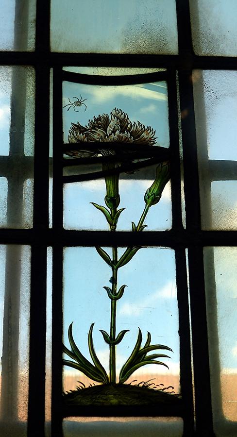 Haarlem - Frans Hals Museum; Stained-glass Window