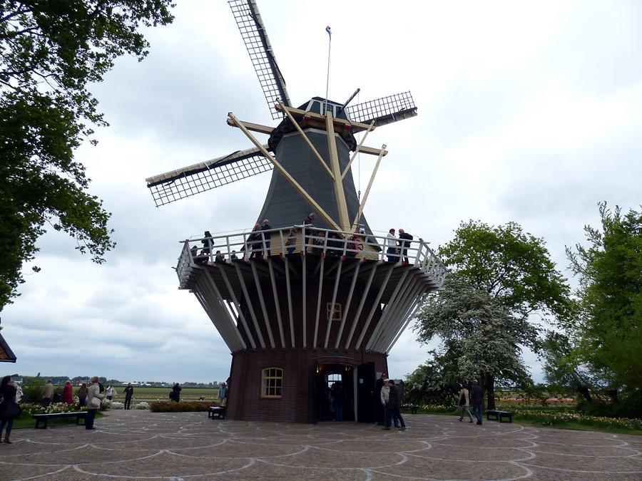 Keukenhof Flower Park; Wind Mill