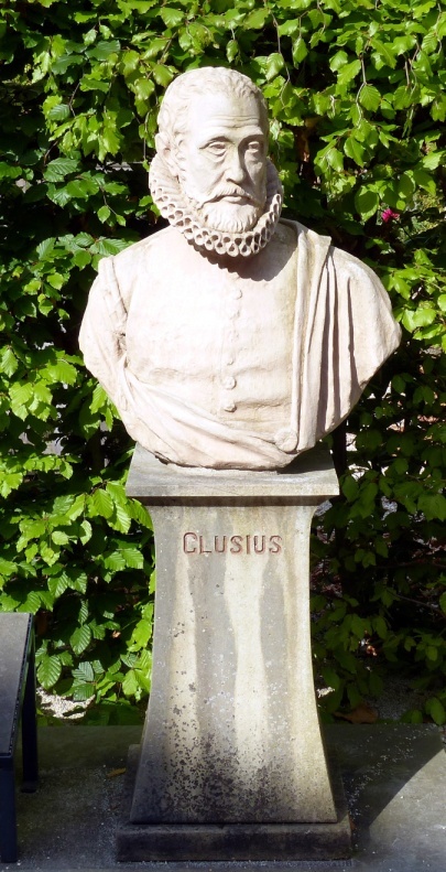 Leiden - Statue of Carolus Clusius