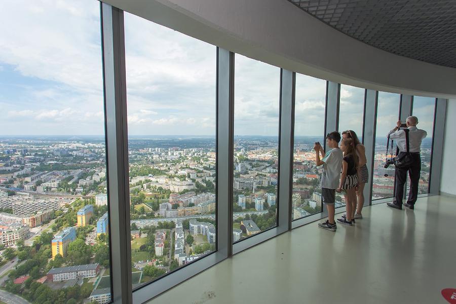 Sky Tower Viewpoint