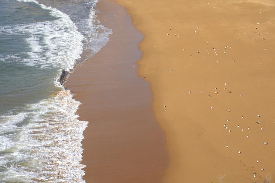 Armação de Pêra - Surf