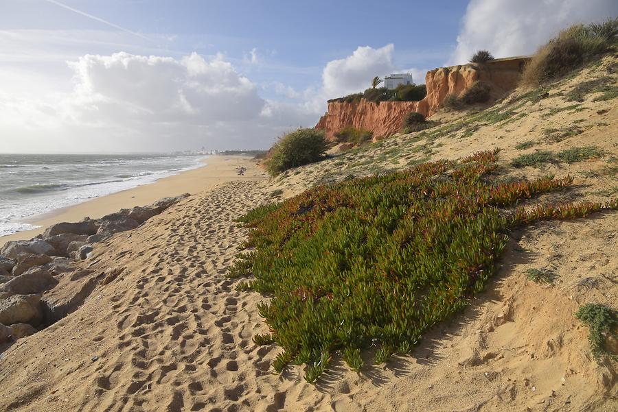 Vale do Lobo