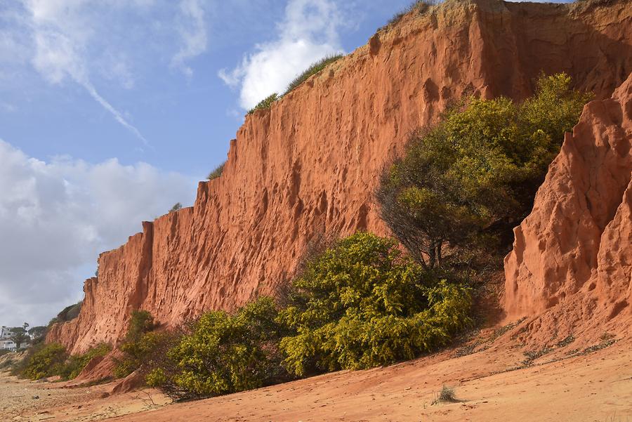 Vale do Lobo