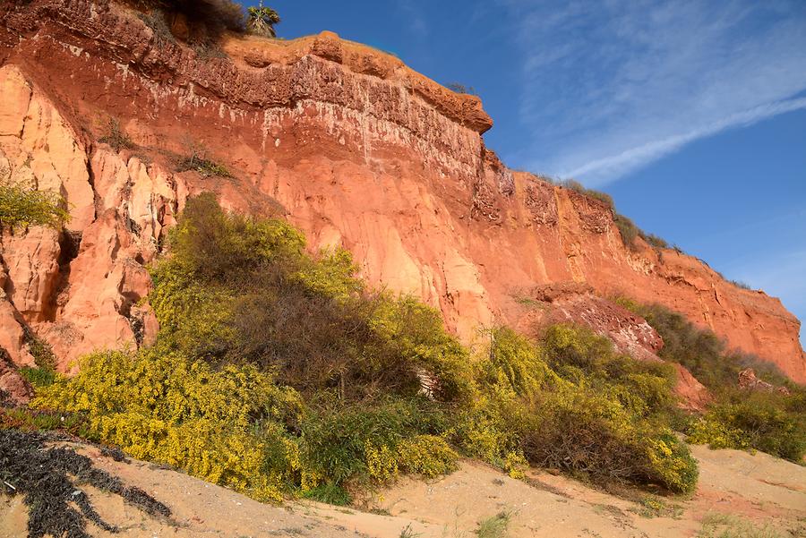 Vale do Lobo