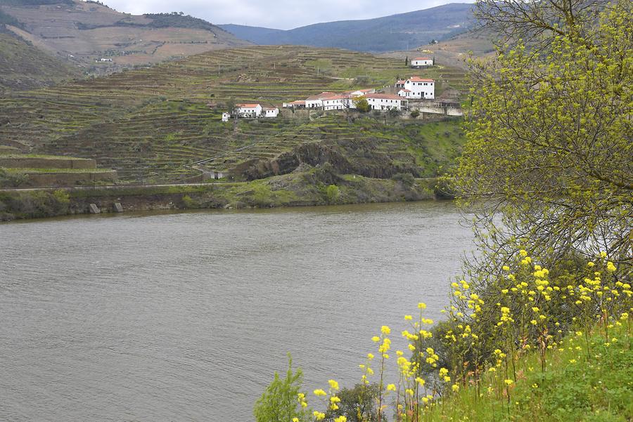 Douro Valley