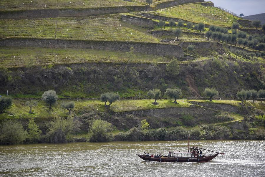 Douro Valley