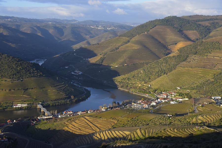 Vineyards near Vilarouco