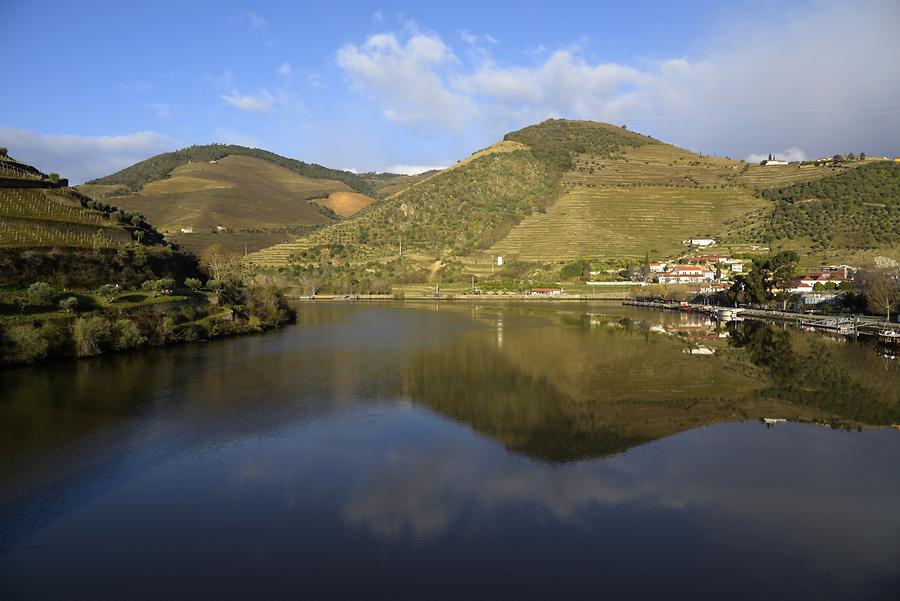 Vineyards near Vilarouco