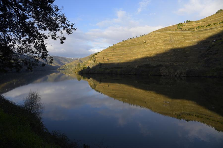 Vineyards near Vilarouco