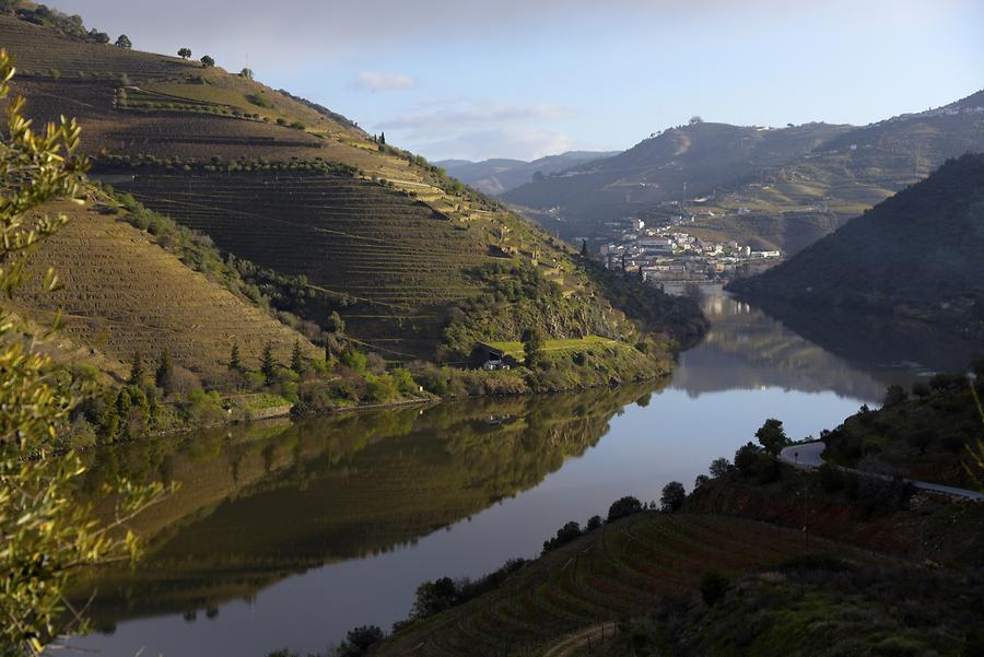 Vineyards near Vilarouco