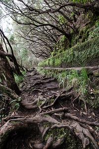 Madeira