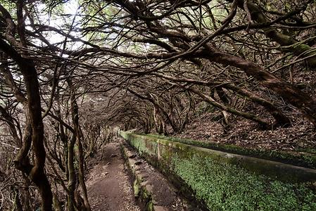 Madeira