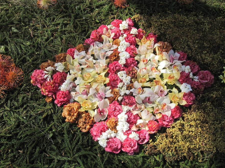 Funchal - Avenida Arriaga - Flower Festival