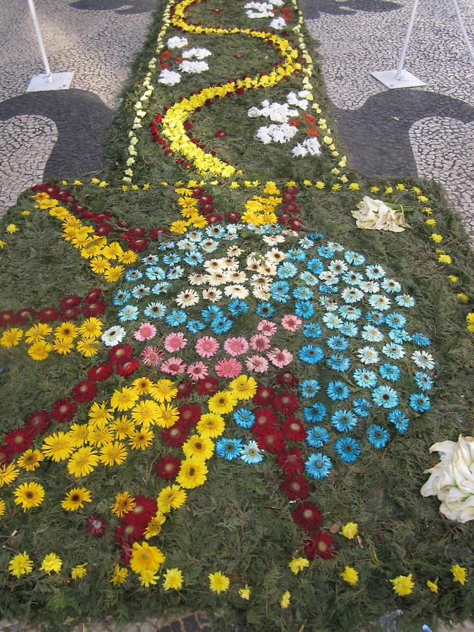 Funchal - Avenida Arriaga - Flower Festival