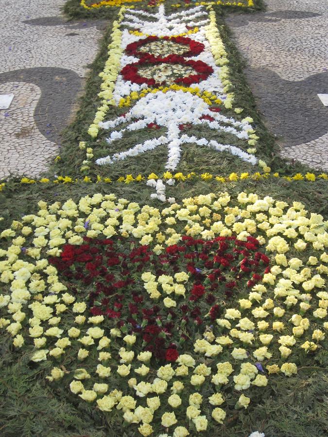 Funchal - Avenida Arriaga - Flower Festival