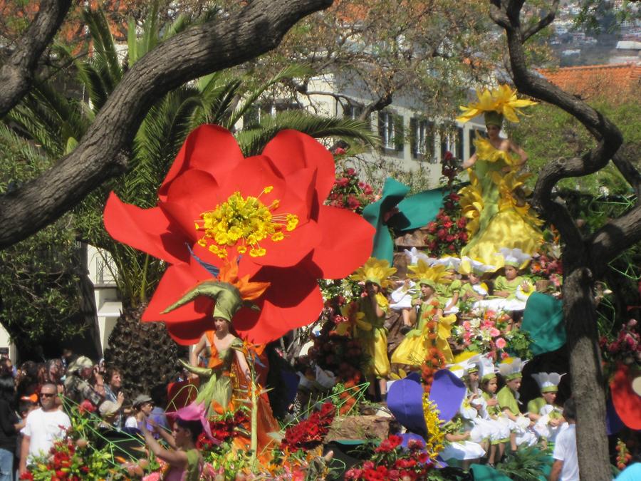 Funchal - Avenida do Mar - Festa da Flor