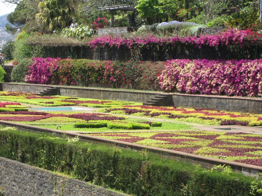 Funchal - Jardim Botanico