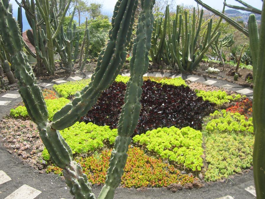 Funchal - Jardim Botanico