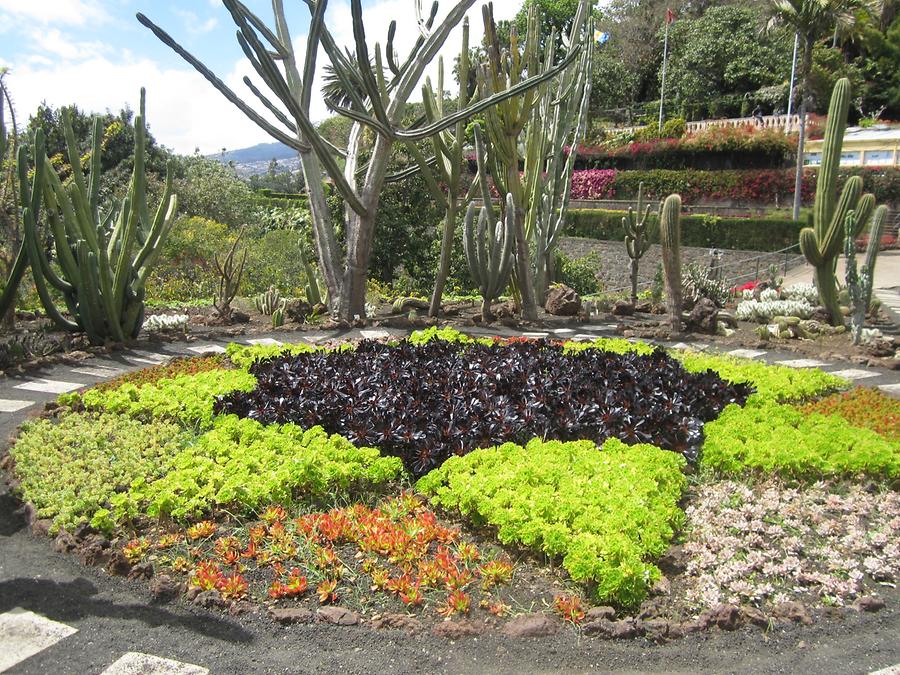 Funchal - Jardim Botanico