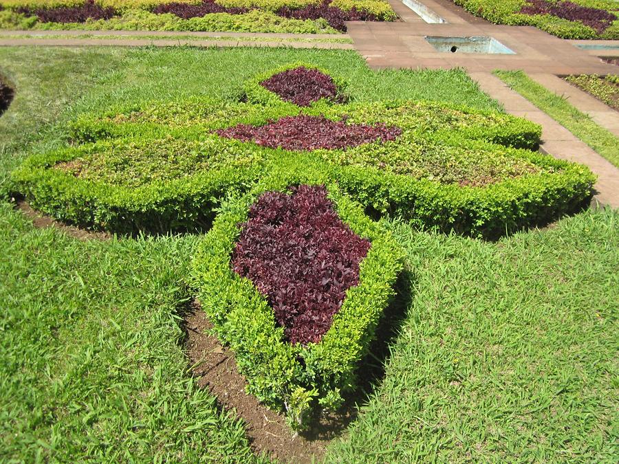 Funchal - Jardim Botanico