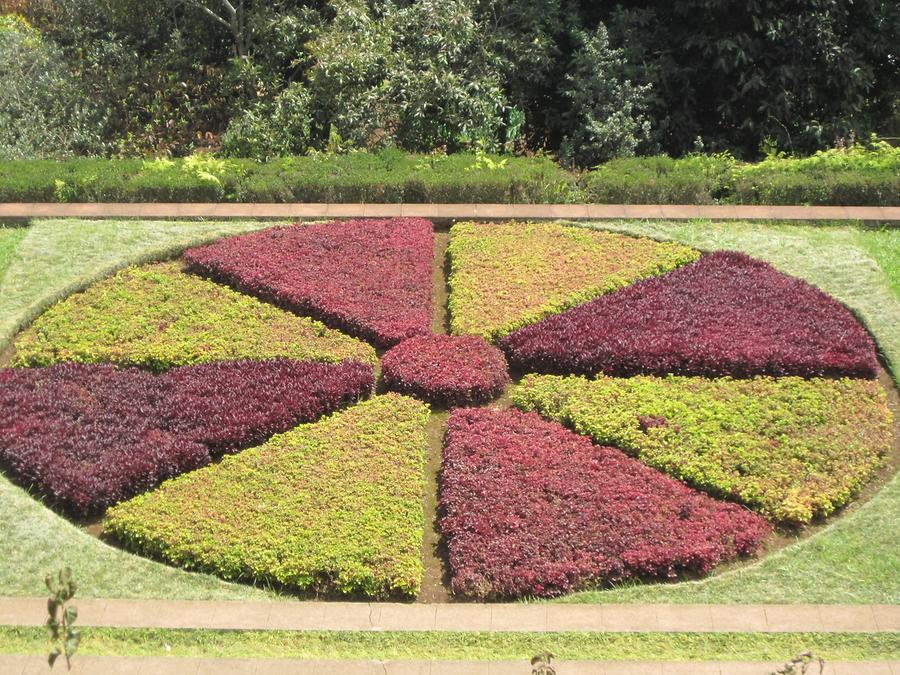 Funchal - Jardim Botanico