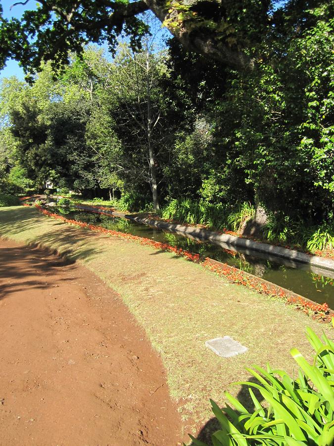 Funchal - Jardins do Palheiro Blandy's Garden