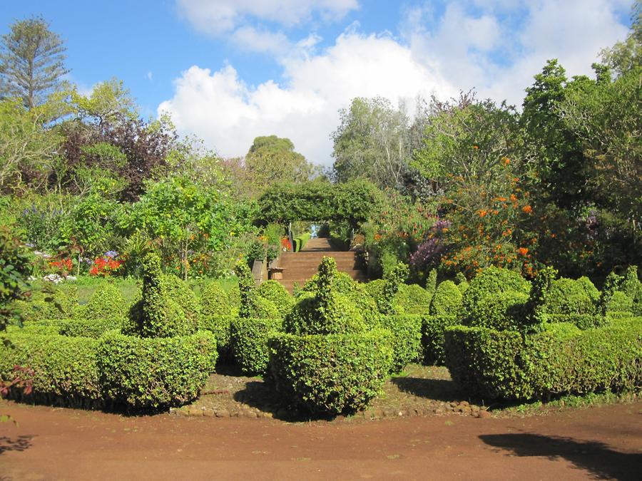 Funchal - Jardins do Palheiro Blandy's Garden