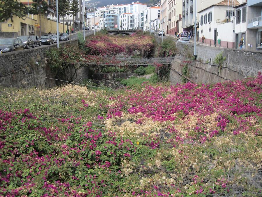 Funchal - Ribera de Santa Luzia