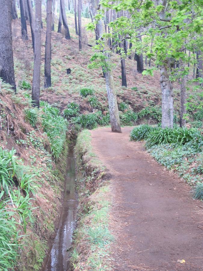 Levada da Serra do Faial