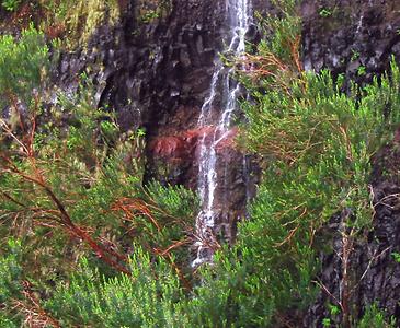 Madeira