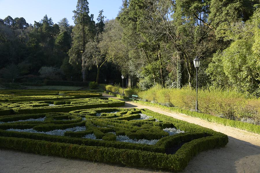 Buçaco Palace - Park