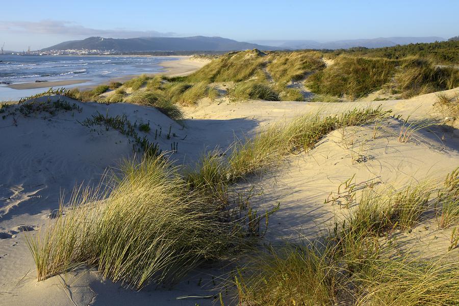 Viana do Castelo - Amorosa Beach; Sand Dunes