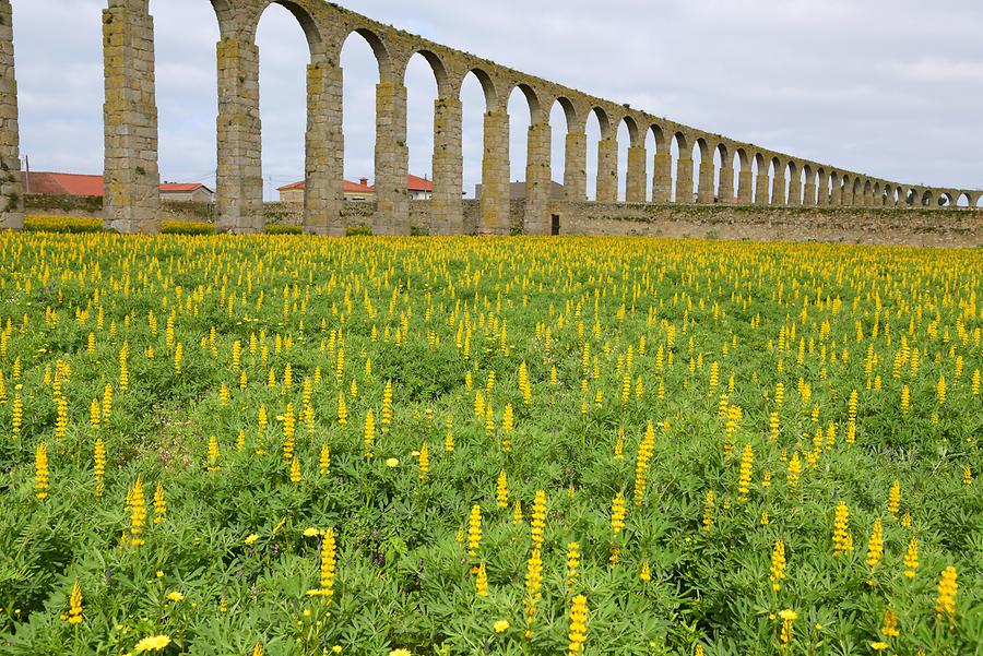 Vila do Conde - Aqueduct Vila do Conde - Aqueduct