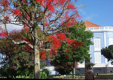 São Miguel