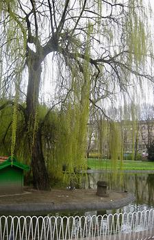 Danube Park, Novi Sad, Serbia. 2015. Photo: Clara Schultes