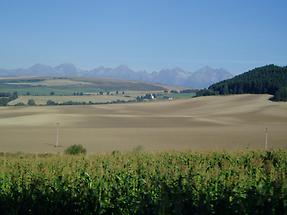 The Slovakian countryside