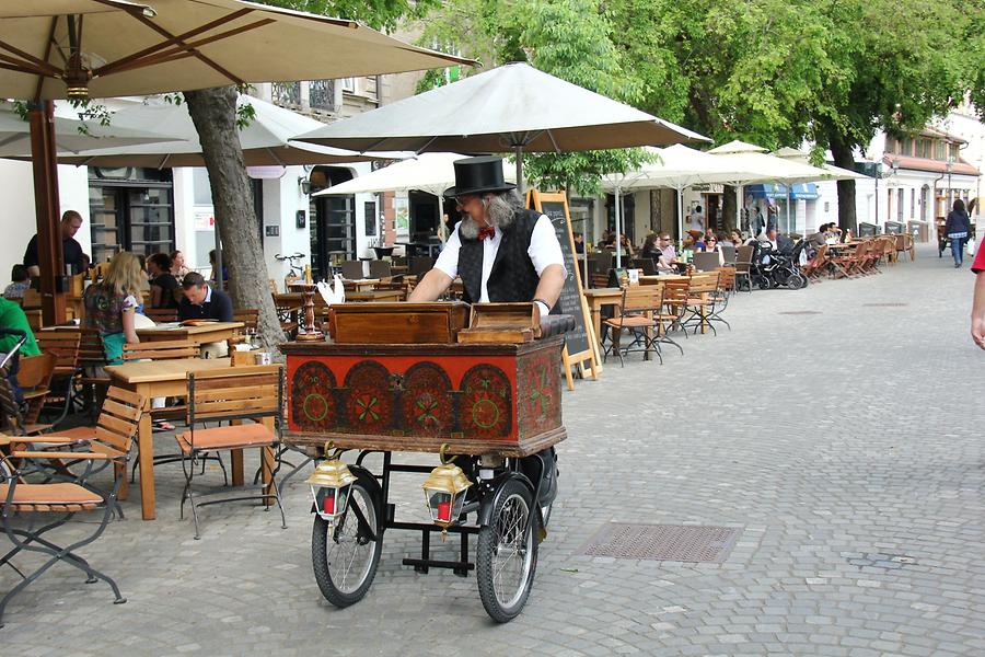 Barrel-Organist